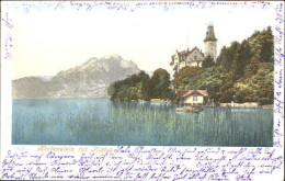 10556219 Hertenstein Hertenstein  X 1901 Hertenstein - Sonstige & Ohne Zuordnung