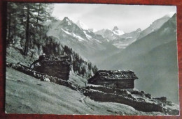 Carte Photo L'Alpe Des Moyes S. Ayer Et St. Luc - Besso - Obergabelhorn - Cervin - Dt. Blanche - Saint-Luc