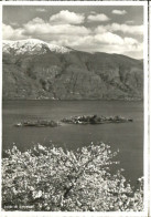 10555890 Isole Di Brissago  Isole Di Brissago - Andere & Zonder Classificatie