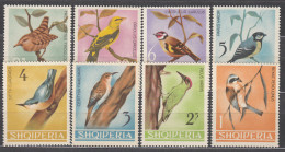 Albania Correo 1964 Yvert 699/706 ** Mnh Fauna - Aves - Albanie