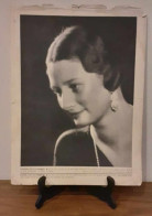 Reine ASTRID De Suède - Château De Stuyvenberg - 1935 - LARGE Photo : 37 X 28 Cm - Other & Unclassified