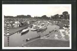 AK Den Haag, Havengebied Met Willem Ruys En Oranje  - Den Haag ('s-Gravenhage)