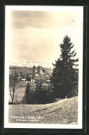 AK Lindenberg / Allgäu, Blick Von Der Bergwiese  - Lindenberg I. Allg.