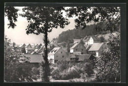 AK Friedenfels / Steinwald, Teilansicht  - Sonstige & Ohne Zuordnung