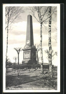 AK Trautenau, Gablenzdenkmal, Birken  - Tchéquie