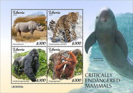 Liberia 2023, Animals In Danger, Rhino, Leopard, Gorilla, Dolphin, 4val In BF - Big Cats (cats Of Prey)