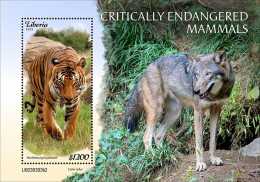 Liberia 2023, Animals In Danger, Tiger, Wolf, BF - Big Cats (cats Of Prey)