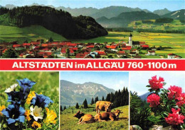 73978396 Altstaedten_Allgaeu Panorama Alpen Almvieh Kuehe Alpenflora - Sonthofen