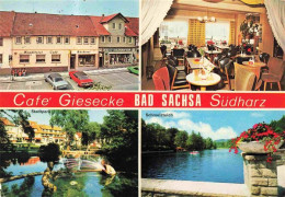 73978390 Bad_Sachsa_Harz Café Giesecke Gastraum Stadtpark Schmelzteich - Bad Sachsa