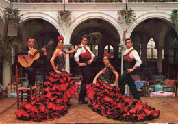 73978372 LLORET_DE_MAR_Costa_Brava_ES Ballet Los Flamencos En El Relicario - Autres & Non Classés