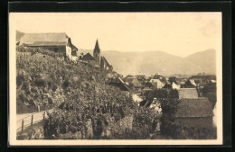 AK Weissenkirchen In Der Wachau, Teilansicht  - Altri & Non Classificati