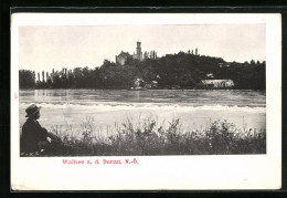 AK Wallsee An Der Donau, Blick Auf Das Schloss  - Other & Unclassified