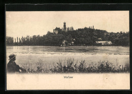 AK Wallsee An Der Donau, Blick Auf Das Schloss Vom Wasser Aus  - Other & Unclassified