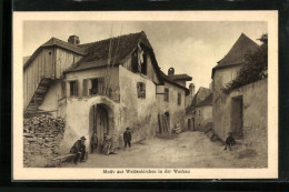 AK Weissenkirchen /Wachau, Strassenpartie Mit Kleinen Kindern  - Other & Unclassified