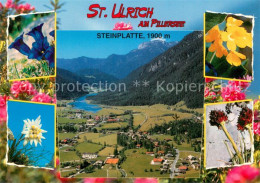 73760006 St Ulrich Pillersee Fliegeraufnahme Mit Steinplatte Alpenflora St Ulric - Otros & Sin Clasificación
