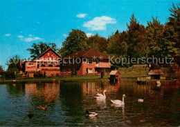 73726731 Ventschau Hotel Pension Heil Schwanenteich Naturpark Elbufer Ventschau - Autres & Non Classés