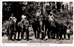 26-5-2024 (6 Z 12) Bw - Older - Ceylon (now Called Sri Lanka) - Elephant Parade In Kandy - Sri Lanka (Ceylon)