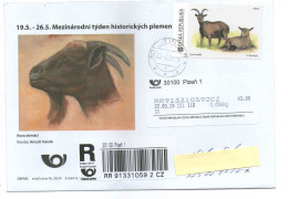Czech Republic 2024 - Goat,   Internt. Day Of  Old Domestic Species, Special Cover, Apost, Personalised Stamp - Otros & Sin Clasificación