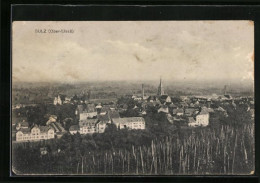 CPA Sulz, Vue Générale Vom Weinberg Aus  - Sonstige & Ohne Zuordnung