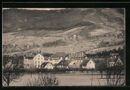 AK Sasbach, Blick Auf Die Lendersche Anstalt  - Sasbach