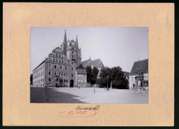 Fotografie Brück & Sohn Meissen, Ansicht Oschatz, Rathaus & Kirche, Gasthaus Am Neumarkt  - Orte