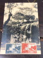 SOUTH VIETNAM 1963(F D C-POSTCAR-CHUTE GOUGAH THAC)-1pcs Good Quality - Viêt-Nam