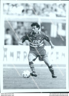 Fo2627 Foto Originale Calcio Sampdoria Alessandro Melli - Sonstige & Ohne Zuordnung