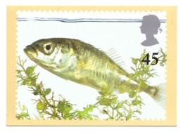 POND LIFE (THREE-SPINED STICKLEBACK) // REPRODUCED FROM A STAMP DESIGNED BY JOHN GIBBS // 2001 - Stamps (pictures)