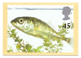 POND LIFE (THREE-SPINED STICKLEBACK) // REPRODUCED FROM A STAMP DESIGNED BY JOHN GIBBS // 2001 - Postzegels (afbeeldingen)