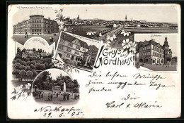 Lithographie Nordhausen, Panorama Der Stadt, Gehege, Riesenhaus Und Lutherdenkmal  - Nordhausen