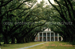 72852916 Vacherie Oak Alley Plantation - Altri & Non Classificati