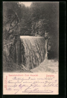 AK Dornbirn, Rappenlochschlucht, Erster Wasserfall  - Other & Unclassified