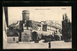 Cartolina Trento, Castello Del Buon Consiglio  - Trento
