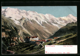 AK Mürren, Hotel Des Alpes  - Autres & Non Classés