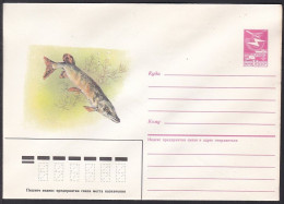 Russia Postal Stationary S1428 Fish - Poissons