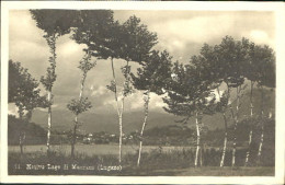 10554504 Lago Di Muzzano Lago Di Muzzano Lugano X 1926  - Sonstige & Ohne Zuordnung