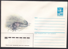 Russia Postal Stationary S1438 Fish, Catfish - Fishes