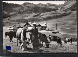 LES ARAVIS   // Lot 7 - Otros & Sin Clasificación