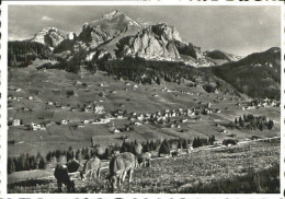 10553237 Wildhaus SG Wildhaus Toggenburg X 1961 Wildhaus - Sonstige & Ohne Zuordnung