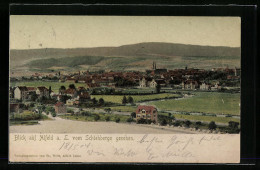 AK Alfeld A. D. Leine, Panoramablick Vom Schlehberge Aus Gesehen  - Alfeld
