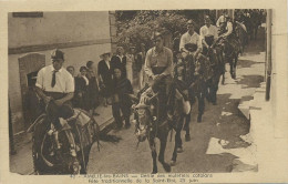 66)   AMELIE LES BAINS -  Défilé Des Muletiers Catalans - Fête Traditionnelle De La Saint Eloi 25 Juin - Other & Unclassified