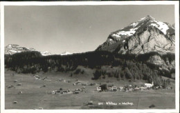 10552896 Wildhaus SG Wildhaus    Wildhaus - Sonstige & Ohne Zuordnung