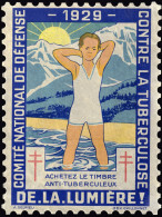 FRANCE - 1929 Timbre Antituberculeux Timbre Grand Format (180x135mm - Sans Valeur) - TB Et Peu Commun (c.60€) - Antituberculeux