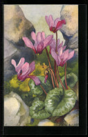 Künstler-AK Anna Haller: Rosafarbene Blumen Zwischen Steinen  - Haller, A.