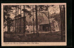 AK Schöna /Sächs. Schweiz, Naturfreunde-Haus Am Zirkelstein  - Schoena