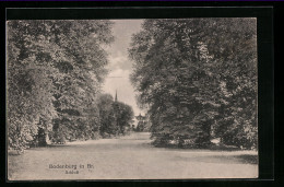 AK Bodenburg In Br., Schloss, Vom Park Gesehen  - Other & Unclassified