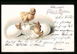 Künstler-AK Osterküken Schlüpfen Aus Den Eiern Zu Ostern  - Pascua