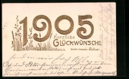 AK Jahreszahl 1905, Glückwünsche  - Other & Unclassified