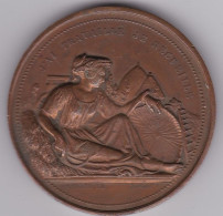Médaille En Cuivre - Comice Agricole De Saint-Jean-de-Losne (21) - Non Datée - Professionnels / De Société