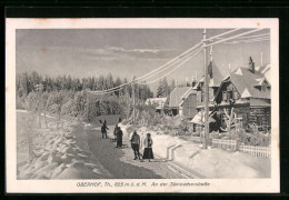 AK Oberhof, An Der Tambacherstrasse Im Verschneiten Winter  - Oberhof